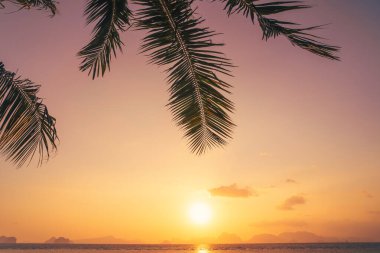Günbatımında tropikal sahilde palmiye ağacı soyut arka planda. Yaz tatili ve doğa yolculuğu macera konsepti. Klasik ton filtre efekti renk biçimi.