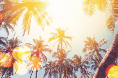 Günbatımında güneş ışığı olan tropik palmiye ağacı ve renkli Bokeh soyut arka planına sahip bulut. Yaz tatili ve doğa yolculuğu macera konsepti. Klasik ton filtre efekti renk biçimi.