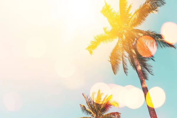 Palmier Tropical Avec Lumière Soleil Sur Ciel Couchant Nuage Avec — Photo
