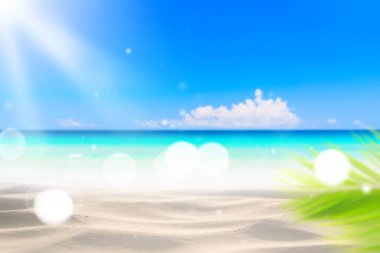 Bulanık, yeşil palmiye yaprağı tropikal plajda, Bokeh güneş ışığı dalgası soyut arka planda. Yaz tatili ve iş seyahati konseptini kopyala. Klasik ton filtre efekti renk biçimi