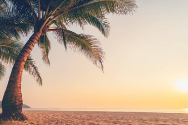 Günbatımında tropikal sahilde palmiye ağacı soyut arka planda. Yaz tatili ve doğa yolculuğu macera konsepti. Klasik ton filtre efekti renk biçimi.