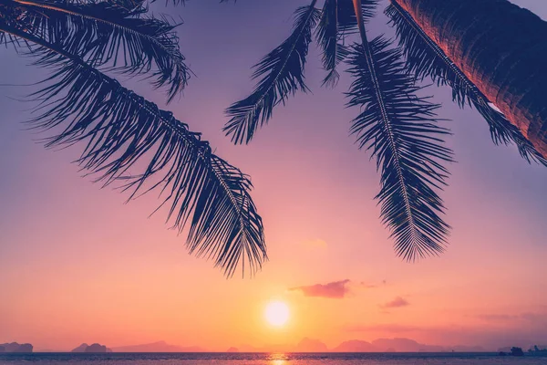 Palm Tree Tropical Beach Sunset Sky Abstract Background Summer Vacation — Stock Photo, Image