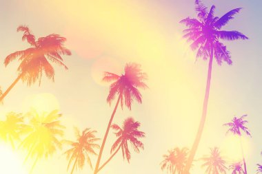 Günbatımında güneş ışığı olan tropik palmiye ağacı ve renkli Bokeh soyut arka planına sahip bulut. Yaz tatili ve doğa yolculuğu macera konsepti. Klasik ton filtre efekti renk biçimi.