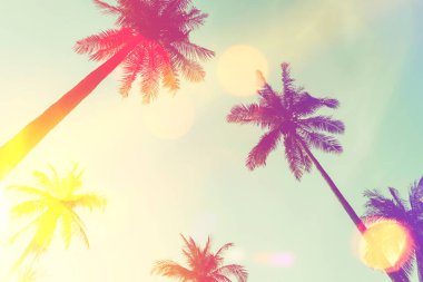 Günbatımında güneş ışığı olan tropik palmiye ağacı ve soyut bir arka plan bulutu. Yaz tatili ve doğa yolculuğu macera konsepti. Klasik ton filtre efekti renk biçimi.