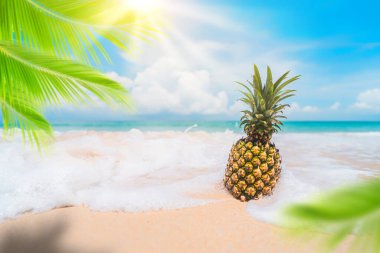 Tropik plaj arka planında ananas ve palmiye ağacı. Yaz tatili ve sağlıklı gıda konsepti.