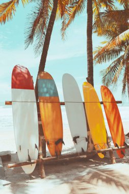 Sahilde mavi gökyüzü olan sörf tahtası ve palmiye ağacı. Seyahat macera sporu ve yaz tatili konsepti. Klasik ton filtre efekti renk biçimi.