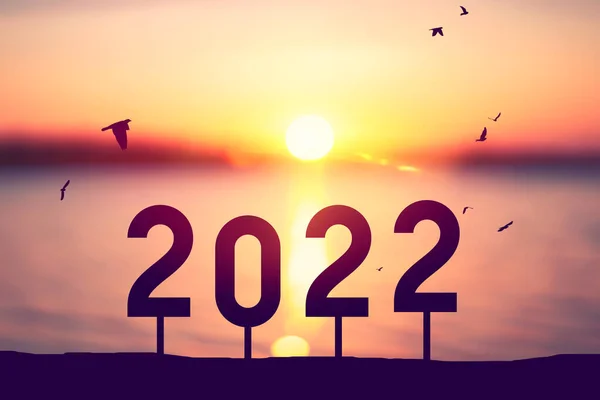 2022 Concepto Año Nuevo Con Aves Volando Sobre Fondo Del — Foto de Stock
