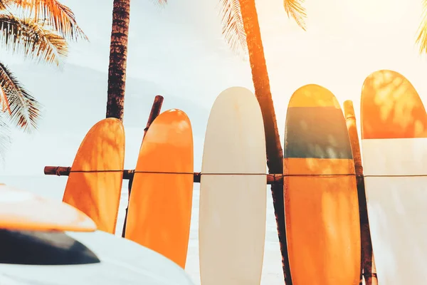 Tabla Surf Palmera Con Cielo Azul Sobre Fondo Playa Viaje — Foto de Stock