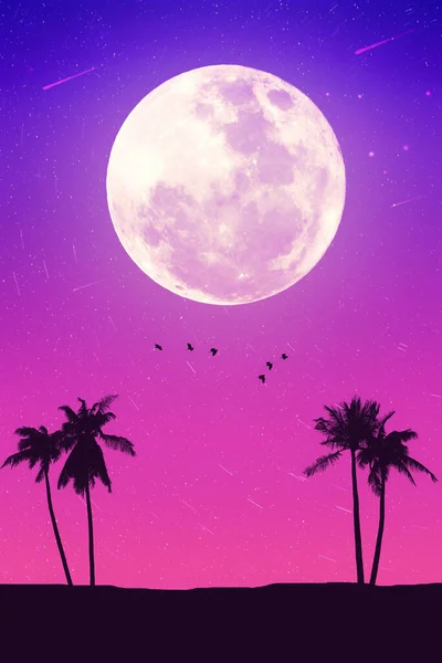 Trópusi Éjszaka Telihold Csillag Esik Pálmalevél Madarak Repülni Elvont Háttérrel — Stock Fotó