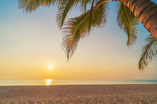 Palm tree at tropical beach on sunset sky abstract background. Summer vacation and nature travel adventure concept. Vintage tone filter effect color style.