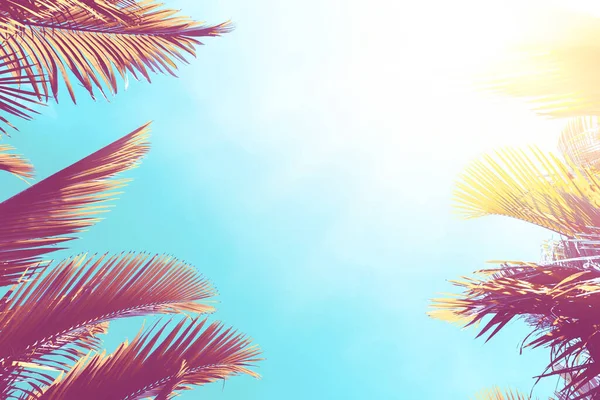Tropische Palmboom Met Zonlicht Zonsondergang Hemel Bewolking Abstracte Achtergrond Zomervakantie — Stockfoto