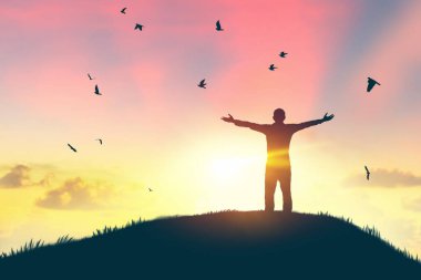 Doğanın soyut arka planında gün batımında gökyüzünde uçan kuşlar ve el yükselen insanlar. Özgürlük iyi hissettirir ve seyahat macerası konsepti. Klasik ton filtre efekti renk biçimi.
