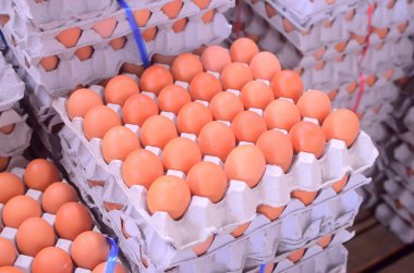 Kutuda çok yumurta var.