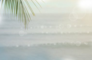 Plaj arka plan bulanık