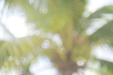 Bokeh güneş ışık yaprak doğa arka plan.