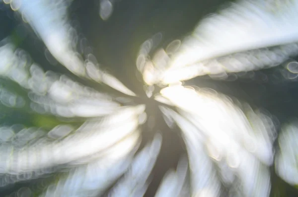 Swirl leaf bokeh natur abstrakt bakgrund. — Stockfoto