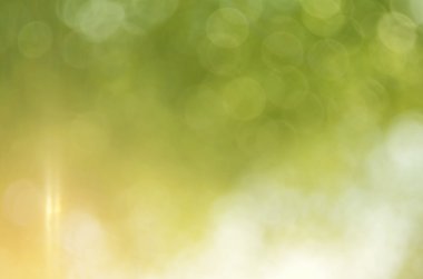 Bokeh güneş ışık yaprak doğa arka plan.