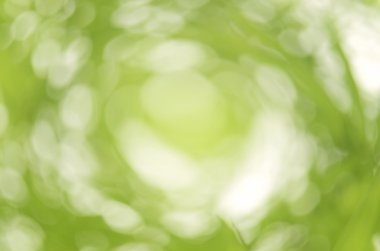 Yaprak bokeh doğa arka plan girdap.