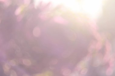 Bokeh güneş ışık yaprak doğa arka plan.