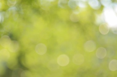 Bokeh güneş ışık yaprak doğa arka plan.