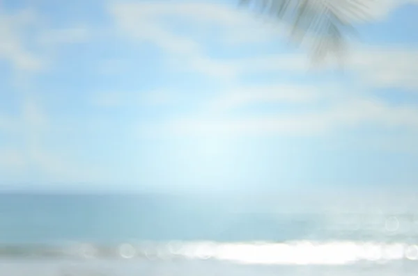 Oskärpa strand med palm leaf abstrakt bakgrund — Stockfoto