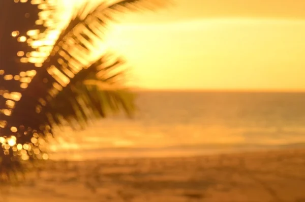 Hoja de palma desenfocada sobre fondo abstracto playa atardecer tropical . — Foto de Stock