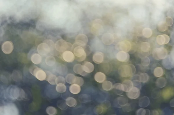 Bokeh sole luce foglia natura astratto sfondo . — Foto Stock