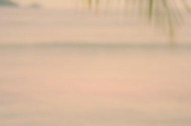 Palmiye yaprağı tropikal günbatımı plaj arka plan bulanıklık.