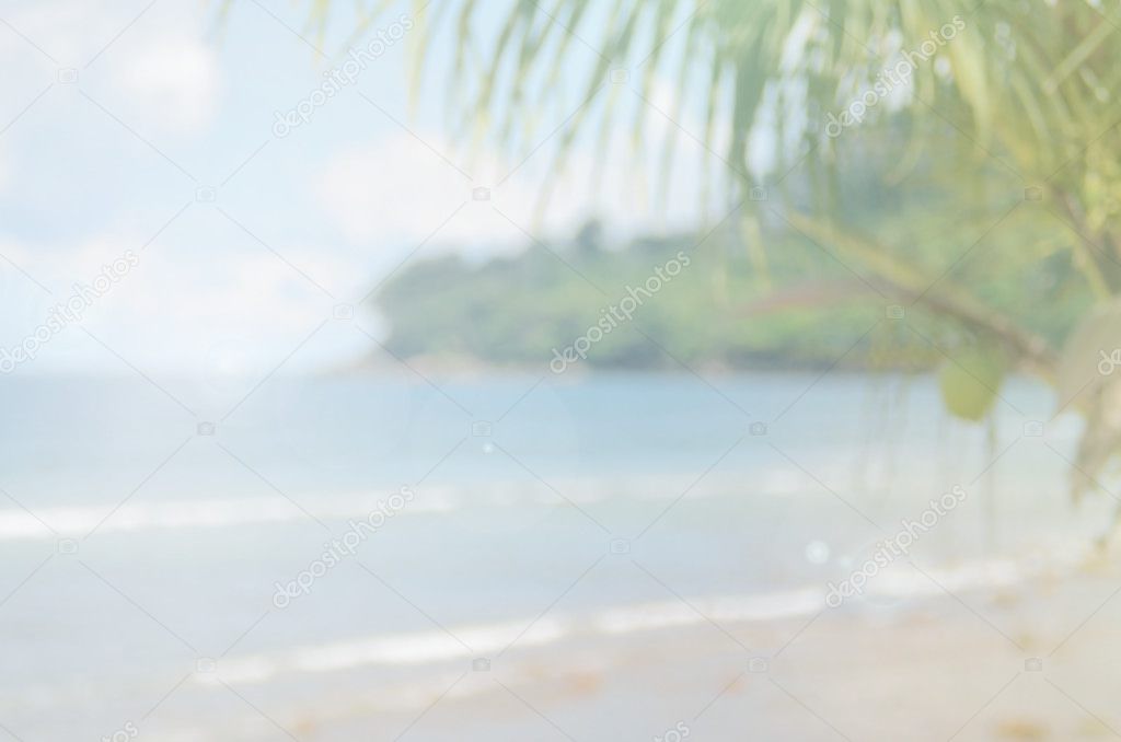 lurred tropical beach and palm leaf abstract background.