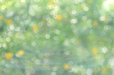 Bokeh güneş ışık yaprak doğa arka plan.