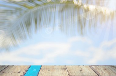 Beach palm yaprak arka plan ile bulanıklık