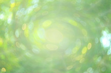 Yeşil doğa bokeh güneş ışık arka plan bulanıklık.