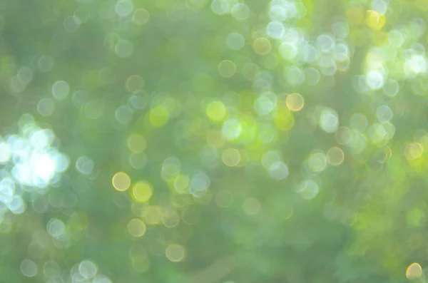 Blur nature bokeh sun light abstract background. Stock Image