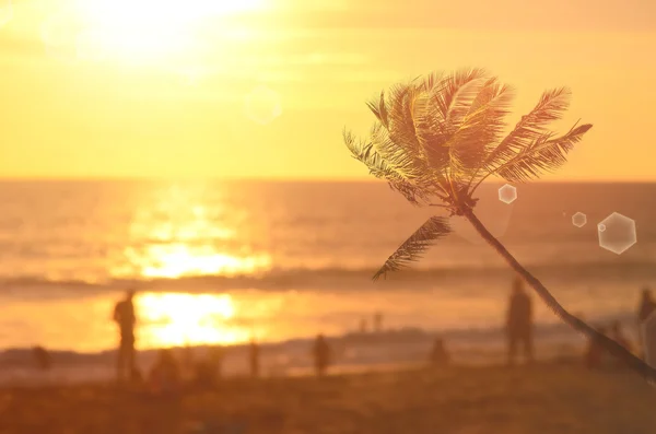 Размытые люди отдыхают на пляже с закатом на фоне пальм. . — стоковое фото