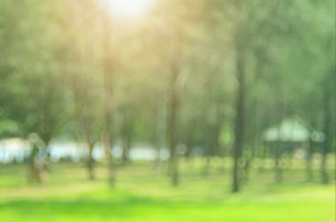 Park arka plan bulanıklık.