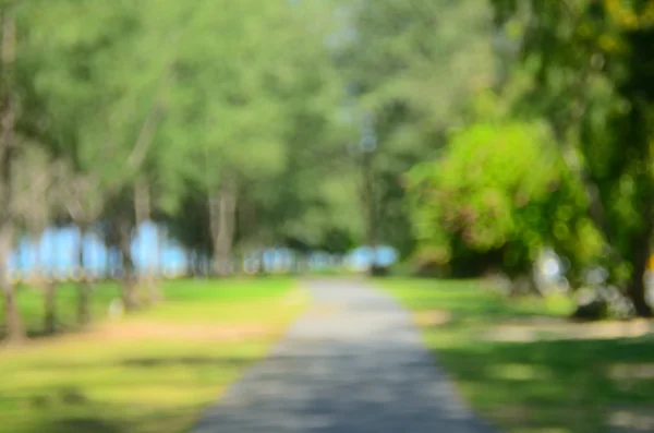 Blur natureza verde parque abstrato fundo . — Fotografia de Stock