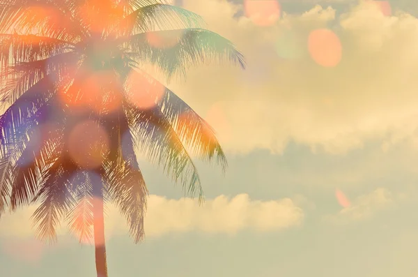 Vervagen tropische palm tree dubbele blootstelling met kleur bokeh lichte abstracte achtergrond. — Stockfoto