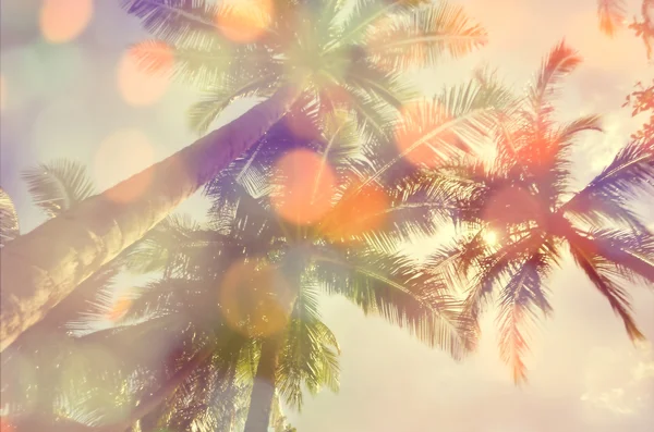 Blur tropical palm tree double exposure with color bokeh light abstract background. — Stock Photo, Image