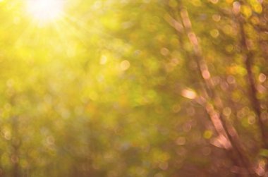 Doğa sonbahar yaprak bokeh arka plan ile.