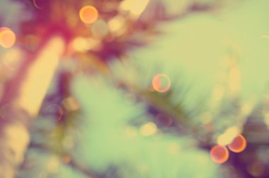 Tropikal palmiye ağacı çift pozlama ile renkli bokeh ışık arka plan bulanıklık.