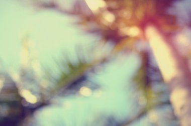 tropikal palmiye ağacı ile bokeh güneş ışık arka plan bulanıklık.