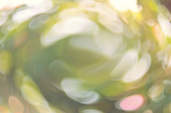 Natuur groene blad bokeh abstracte achtergrond. — Stockfoto