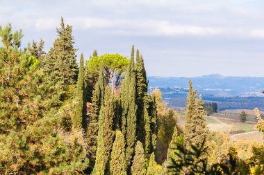 San Gimignano sonbahar, Toskana, İtalya'dan panoramik görünüm
