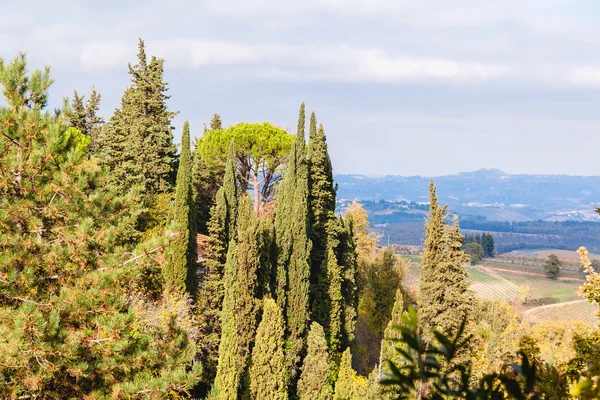 San Gimignano sonbahar, Toskana, İtalya'dan panoramik görünüm