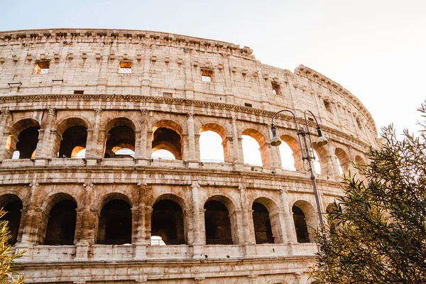 Koloseum. Řím. Itálie — Stock fotografie