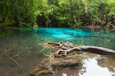 Zümrüt havuzu mangrov orman görünmeyen havuzudur 