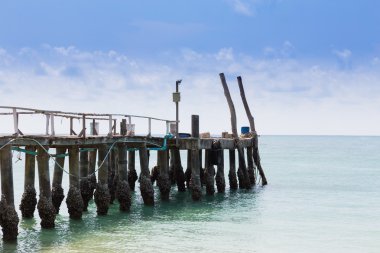 Okyanus, doğal manzarası manzara arka plan önde gelen uzun ahşap köprü