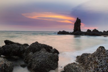 Güzel gökyüzü arka plan ile sahilde kayalık deniz hayvanı kabuğu