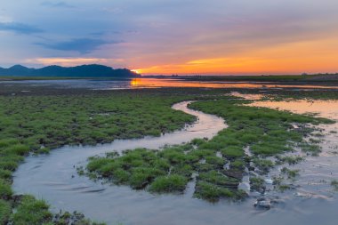 Yeşil küçük su ile çatlamak kara yolu ve küçük çim ve günbatımı