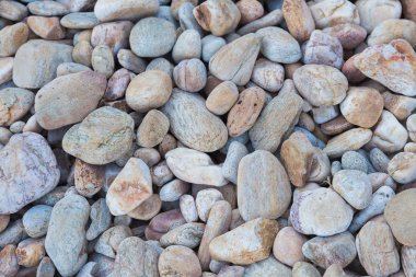 Yuvarlak deniz taşları sahilde